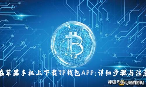 如何在苹果手机上下载TP钱包APP：详细步骤与注意事项