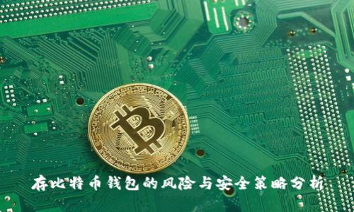 存比特币钱包的风险与安全策略分析