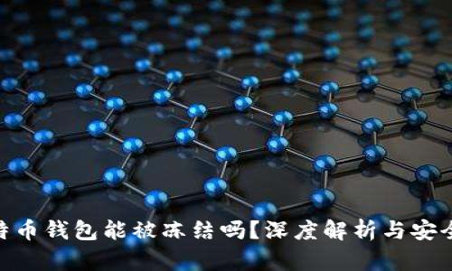 : 比特币钱包能被冻结吗？深度解析与安全措施