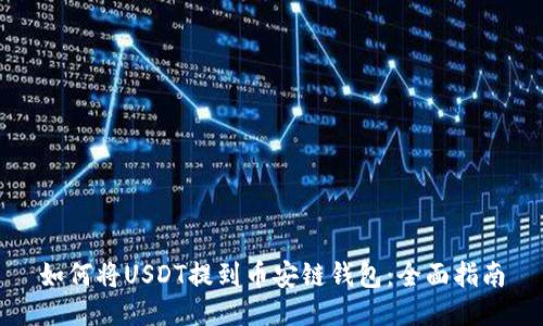 如何将USDT提到币安链钱包：全面指南