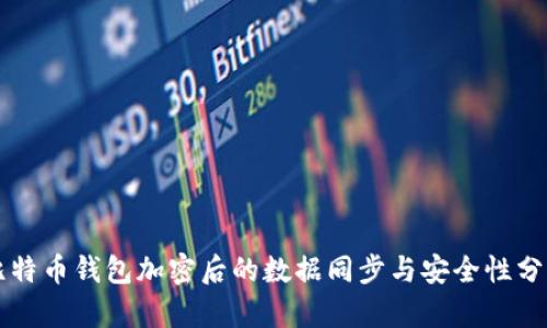 比特币钱包加密后的数据同步与安全性分析