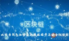 比特币钱包加密后的数据