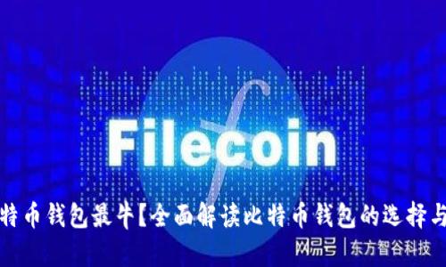 什么比特币钱包最牛？全面解读比特币钱包的选择与安全性