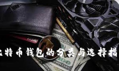 比特币钱包的分类与选择指南