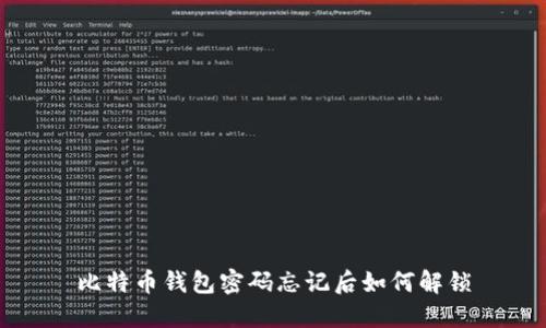 比特币钱包密码忘记后如何解锁