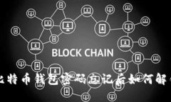 比特币钱包密码忘记后如