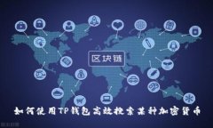 如何使用TP钱包高效搜索某