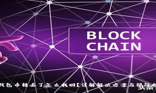 TP钱包币转丢了怎么找回？详解解决方案与预防措施