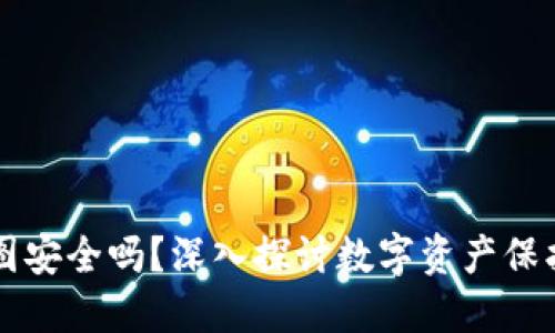 TP钱包余额截图安全吗？深入探讨数字资产保护的隐患与对策
