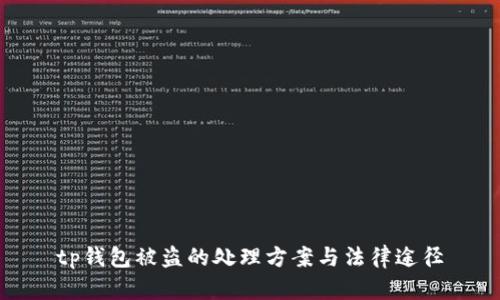 tp钱包被盗的处理方案与法律途径