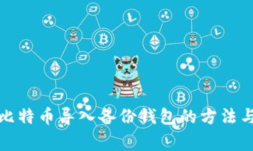 全面解析比特币导入备份钱包的方法与注意事项