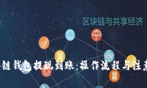  区块链钱包提现到账：操作流程与注意事项