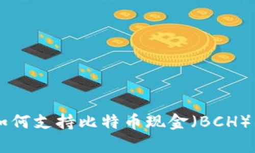 以太坊钱包如何支持比特币现金（BCH）的存储与交易
