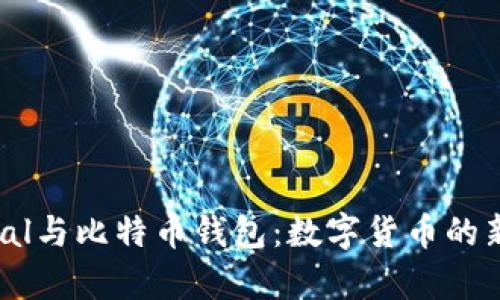 PayPal与比特币钱包：数字货币的新纪元