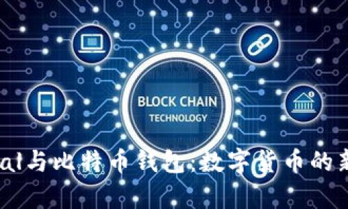 PayPal与比特币钱包：数字货币的新纪元