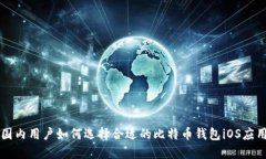 国内用户如何选择合适的