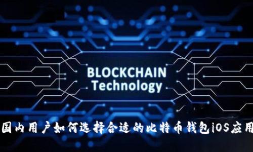 国内用户如何选择合适的比特币钱包iOS应用