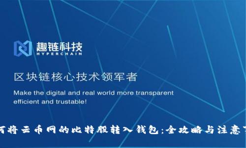 如何将云币网的比特股转入钱包：全攻略与注意事项