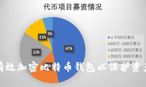 如何有效加密比特币钱包以保护资产安全