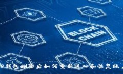 :TP钱包删除后如何重新进