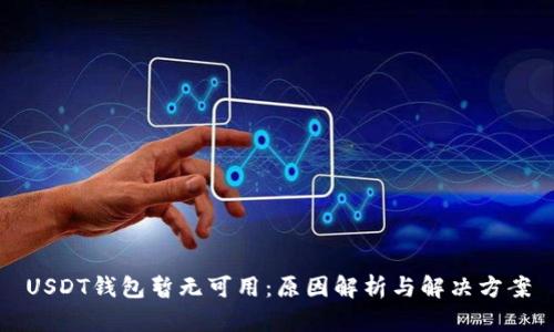 USDT钱包暂无可用：原因解析与解决方案