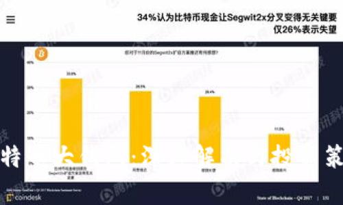 比特币大钱包：深度解析与投资策略