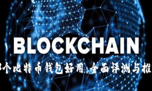哪个比特币钱包好用：全面评测与推荐