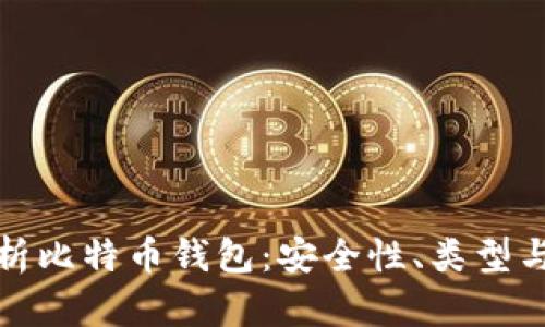: 全面解析比特币钱包：安全性、类型与使用指南