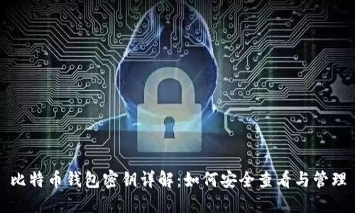 比特币钱包密钥详解：如何安全查看与管理