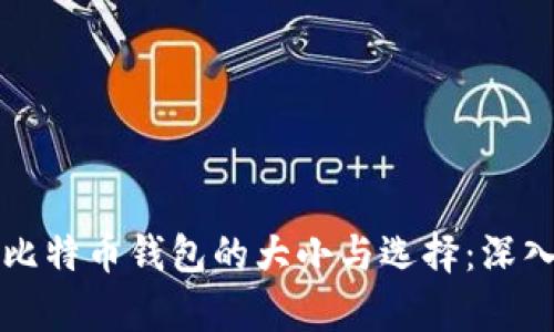 下载比特币钱包的大小与选择：深入解析