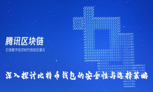 深入探讨比特币钱包的安全性与选择策略