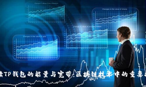 解读TP钱包的能量与宽带：区块链技术中的重要指标
