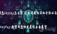 关于“tp钱包keypay怎么样”