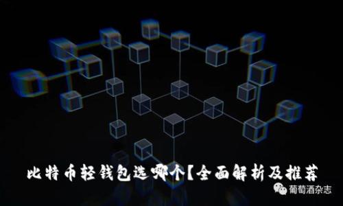 比特币轻钱包选哪个？全面解析及推荐