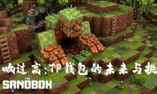 价格影响过高：TP钱包的未来与挑战分析