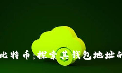 马斯克与比特币：探索其钱包地址的背后意义