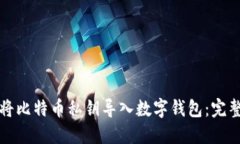 如何将比特币私钥导入数