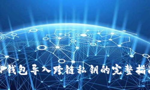 TP钱包导入跨链私钥的完整指南