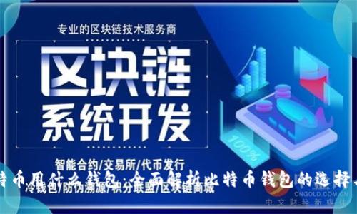 玩比特币用什么钱包：全面解析比特币钱包的选择与使用