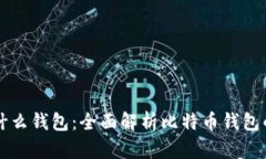玩比特币用什么钱包：全