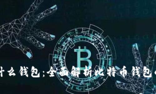 玩比特币用什么钱包：全面解析比特币钱包的选择与使用