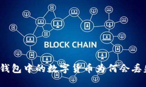 TP钱包中的数字货币为何会丢失？