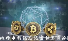 比特币钱包忘记密钥怎么办？