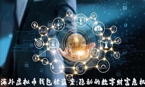 
海外虚拟币钱包被盗案：隐秘的数字财富危机