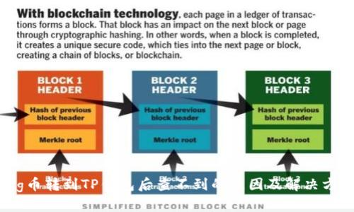 Pig币转到TP钱包后查不到的原因及解决方法