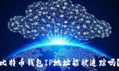   比特币钱包IP地址能被追