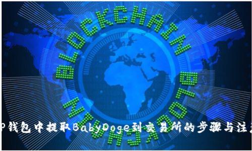 浅析TP钱包中提取BabyDoge到交易所的步骤与注意事项