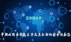探索早期比特币钱包文件