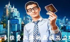 TP钱包手续费上涨的原因及