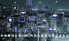 全面解读支持USDT的钱包类
